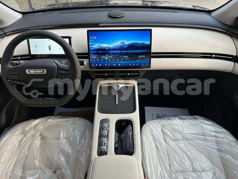 Big with watermark saleen s7 magway chauk 5515