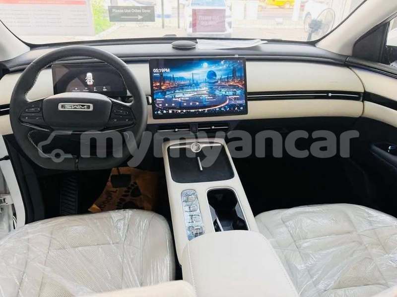 Big with watermark saleen s7 magway chauk 5515