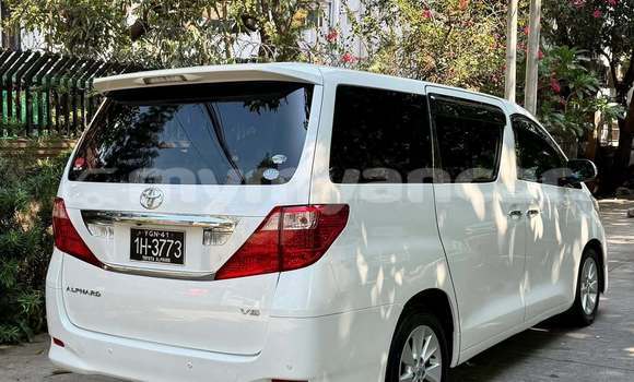 Buy Used Toyota Alphard White Car in Chauk in Magway