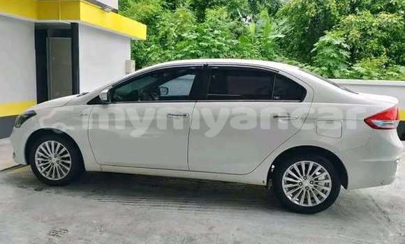 Buy Used Suzuki Ciaz Other Car in Katha in Sagaing Buy Used Suzuki Ciaz Other Car in Katha in Sagaing