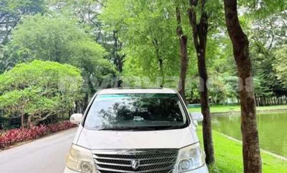 အသုံးပြုခံ့ Toyota Alphard Other ကား Dawei Tanintharyi အသုံးပြုခံ့ Toyota Alphard Other ကား Dawei Tanintharyi