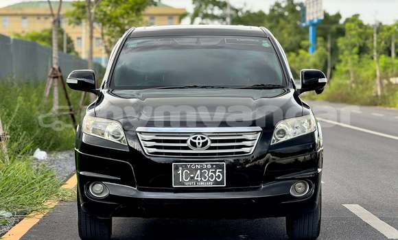 Buy Used Toyota Vanguard Black Car in Arakan in Rakhine