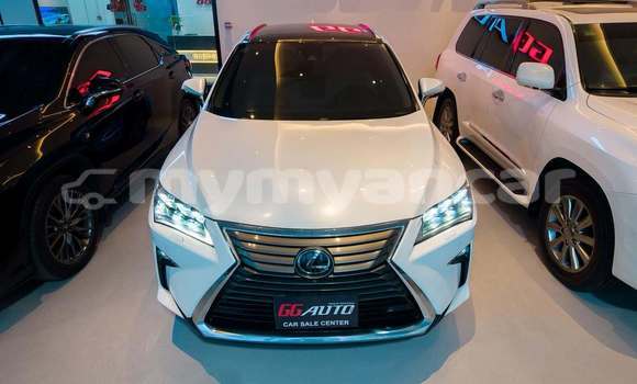 Buy Used Lexus RX White Car in Banmo in Kachin