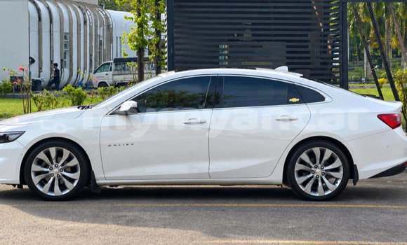 Buy Used Chevrolet Malibu White Car in Arakan in Rakhine Buy Used Chevrolet Malibu White Car in Arakan in Rakhine
