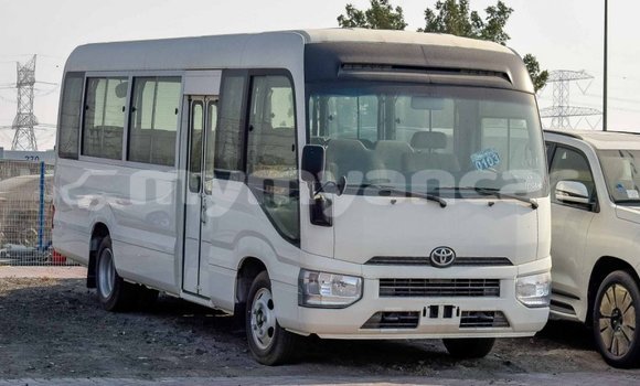 Buy Import Toyota Coaster White Car in Import - Dubai in Ayeyarwady Buy Import Toyota Coaster White Car in Import - Dubai in Ayeyarwady