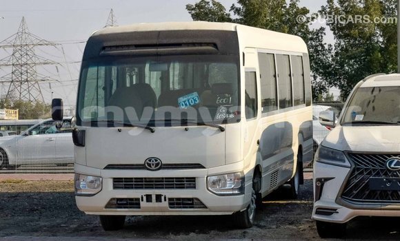 Buy Import Toyota Coaster White Car in Import - Dubai in Ayeyarwady Buy Import Toyota Coaster White Car in Import - Dubai in Ayeyarwady