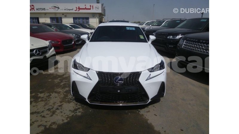 Big with watermark f5a6faf0 6dcf 41e0 821b 8da46b621d3e