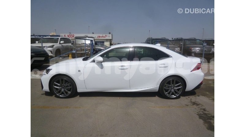 Big with watermark f87aaaf3 f010 41ec a1c6 933216018d3b