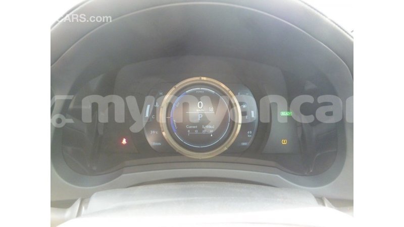 Big with watermark 0181fb75 eab7 49ac a61e ac30c46418cc