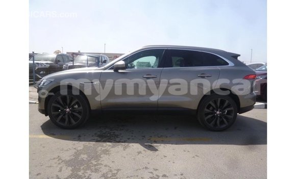 Buy Import Jaguar F-Pace Other Car in Import - Dubai in Ayeyarwady Buy Import Jaguar F-Pace Other Car in Import - Dubai in Ayeyarwady