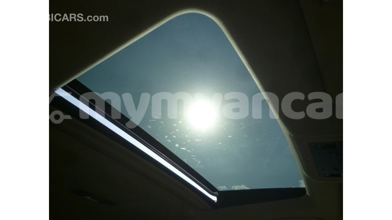 Big with watermark 22c6e8c5 e01a 4a1a 9163 c1e7bd08f0e2