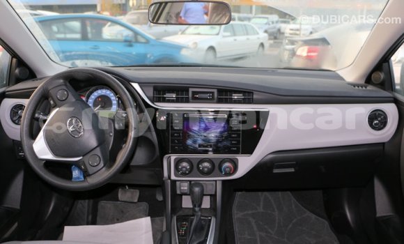 Buy Import Toyota Corolla Black Car in Import - Dubai in Ayeyarwady Buy Import Toyota Corolla Black Car in Import - Dubai in Ayeyarwady