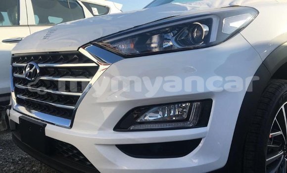 Acheter Import Voiture Hyundai Tucson Blanc à Import - Dubai, #<Region:0x000000000c5121b8> Acheter Import Voiture Hyundai Tucson Blanc à Import - Dubai, #<Region:0x000000000c5121b8>