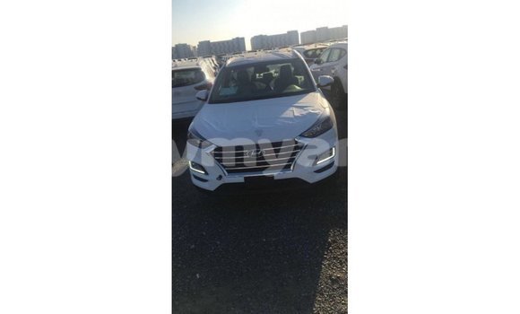 Acheter Import Voiture Hyundai Tucson Blanc à Import - Dubai, #<Region:0x000000000c5121b8> Acheter Import Voiture Hyundai Tucson Blanc à Import - Dubai, #<Region:0x000000000c5121b8>