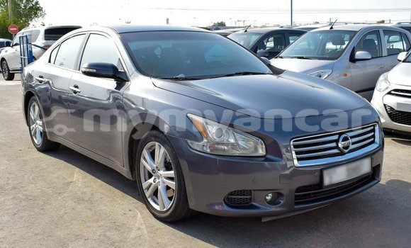 Buy Import Nissan Maxima Other Car in Import - Dubai in Ayeyarwady Buy Import Nissan Maxima Other Car in Import - Dubai in Ayeyarwady