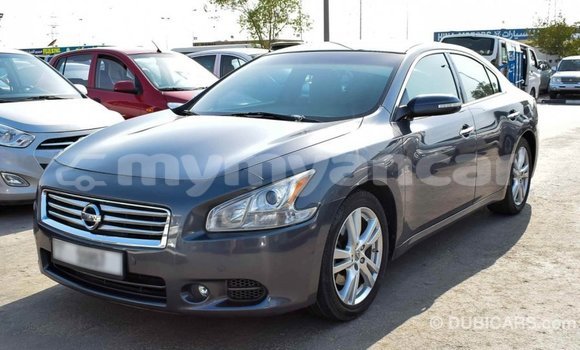 Buy Import Nissan Maxima Other Car in Import - Dubai in Ayeyarwady Buy Import Nissan Maxima Other Car in Import - Dubai in Ayeyarwady