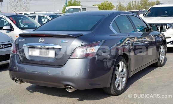 Buy Import Nissan Maxima Other Car in Import - Dubai in Ayeyarwady Buy Import Nissan Maxima Other Car in Import - Dubai in Ayeyarwady