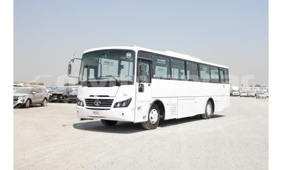 Acheter Import Voiture Tata Xenon Blanc à Import - Dubai, #<Region:0x000000000c5121b8>