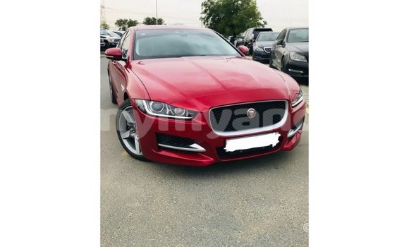 Buy Import Jaguar XE Red Car in Import - Dubai in Ayeyarwady Buy Import Jaguar XE Red Car in Import - Dubai in Ayeyarwady